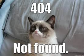 Under Construction Meme Cat